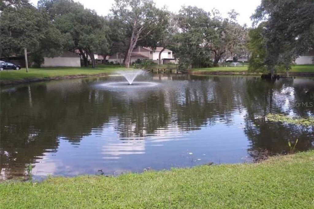 Cozy 3 Bed 2.5 Bath Located Near Busch Gardens Daire Tampa Dış mekan fotoğraf