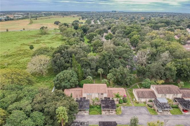Cozy 3 Bed 2.5 Bath Located Near Busch Gardens Daire Tampa Dış mekan fotoğraf